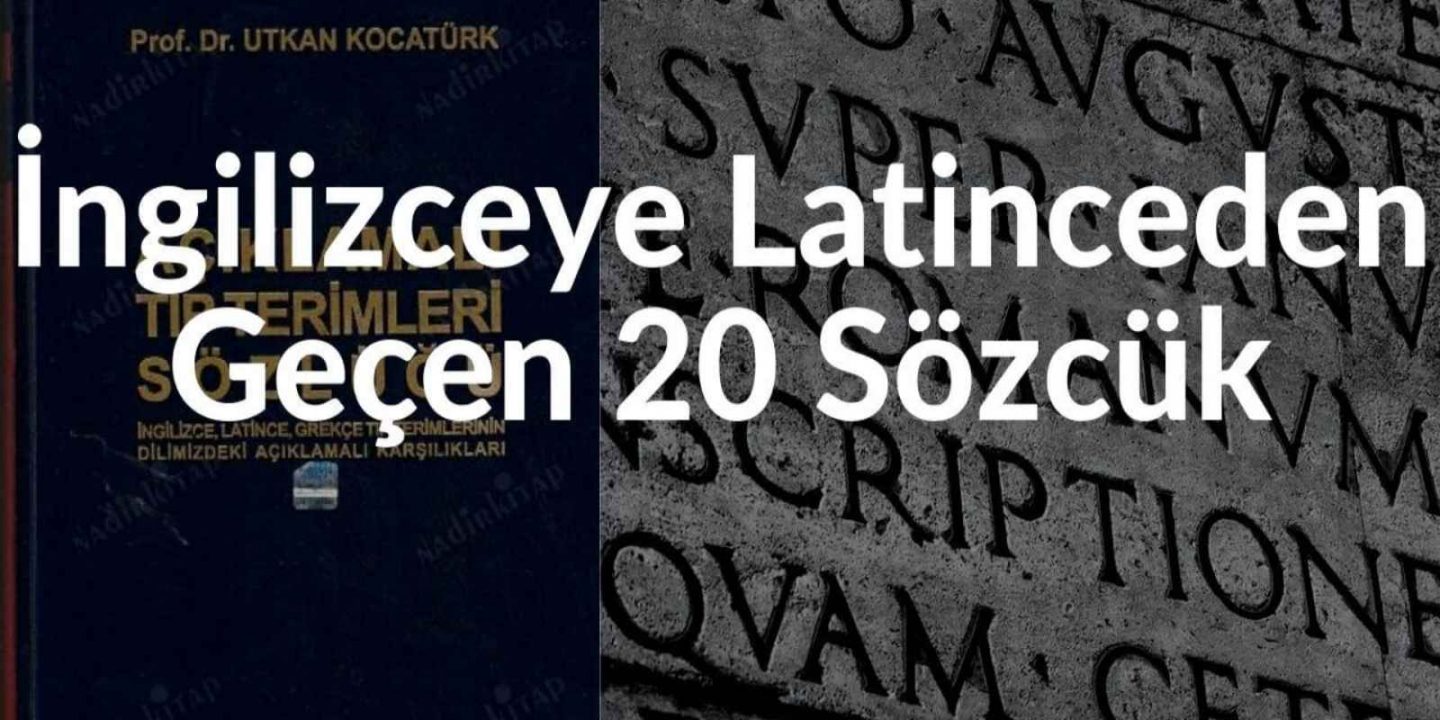 İngilizceye Latinceden Geçen 20 Sözcük