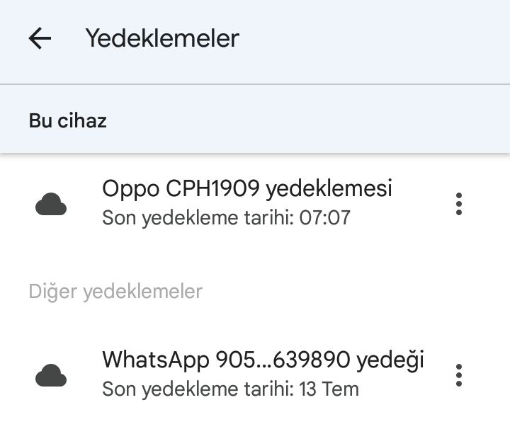 Google Drive WhatsApp yedeği indirme