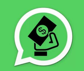 WhatsApp Premium için beta testleri başladı