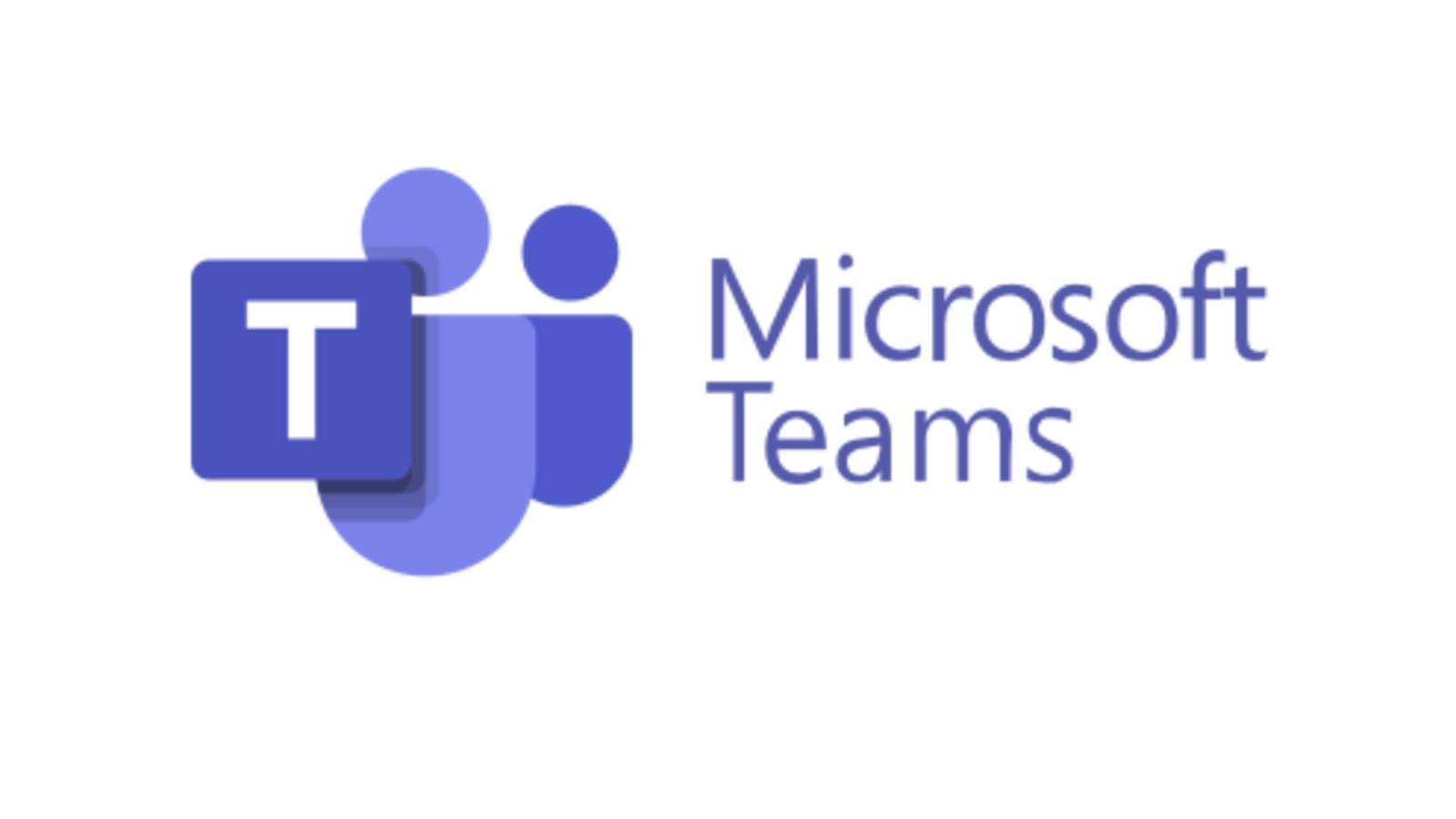MS Teams logo ws
