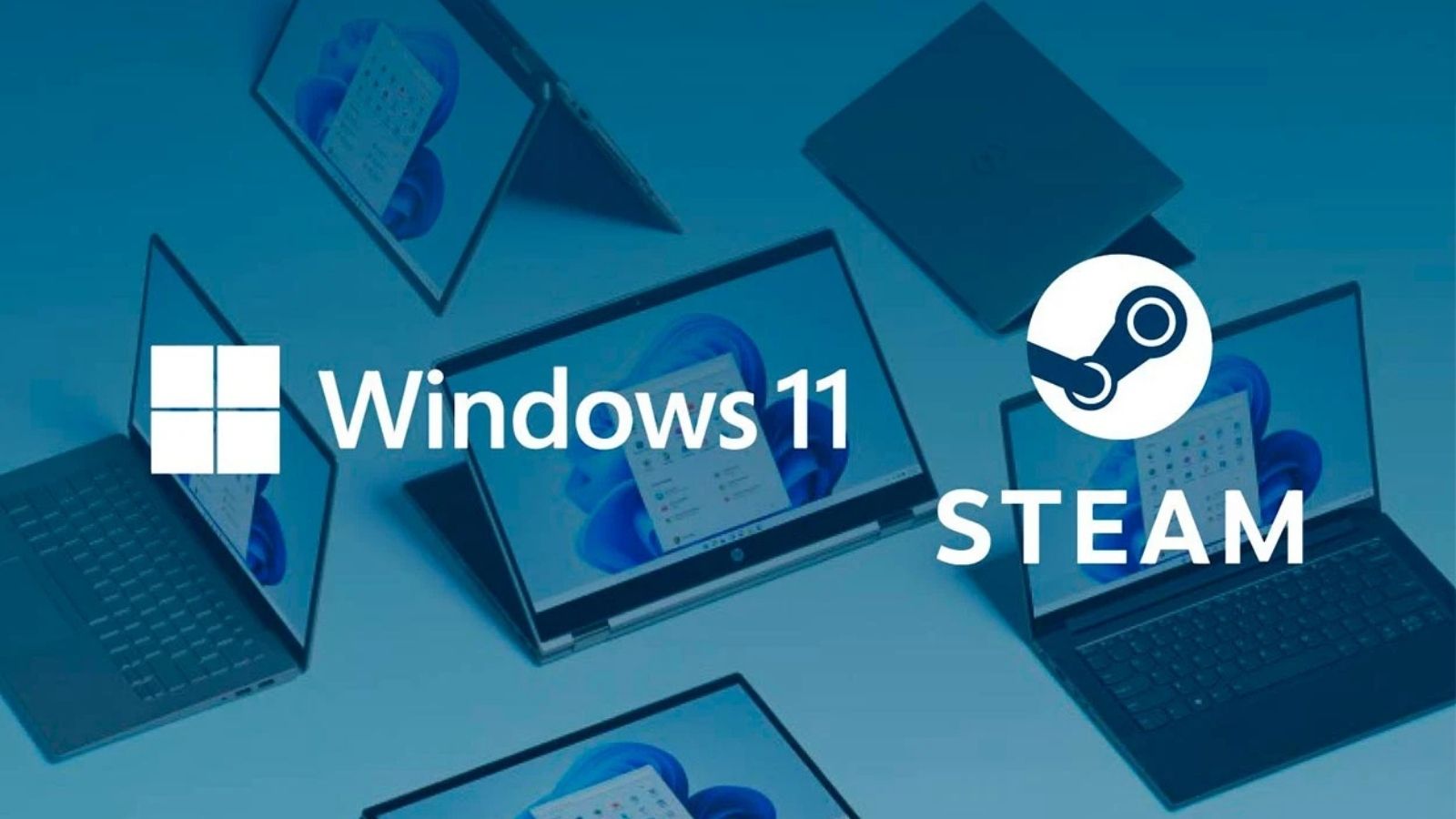 Windows 11, Steam Kullanıcıları Arasında Yükselişte