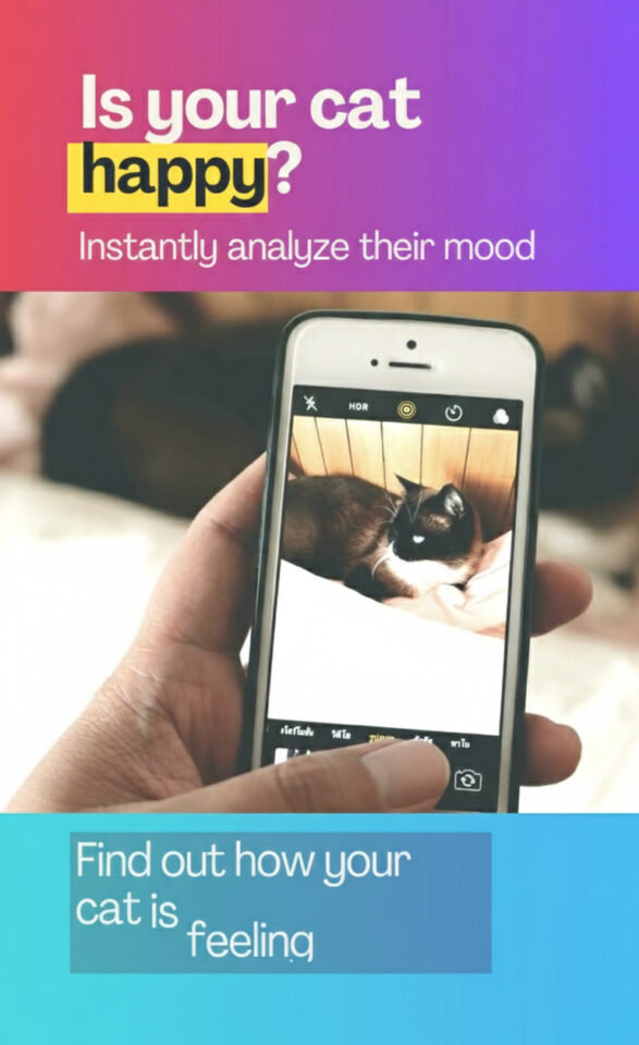 Kedilerin Ağrısını Fotoğraflardan Tespit Eden Yapay Zeka Geliştirildi 3 Kedilerin Ağrısını Fotoğraflardan Tespit Eden Yapay Zeka Geliştirildi