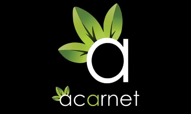 Web tasarım ajansı