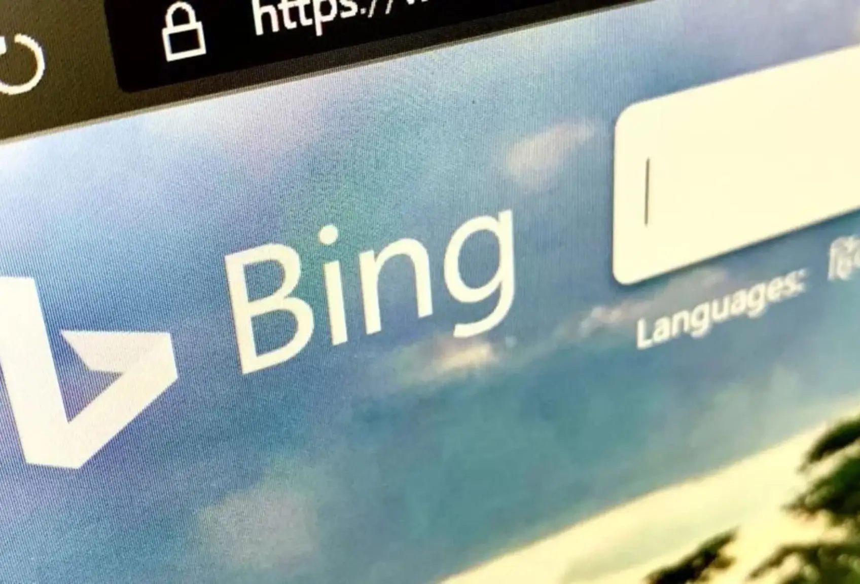 Windows 11 Bing’i Kapatma Döneminde