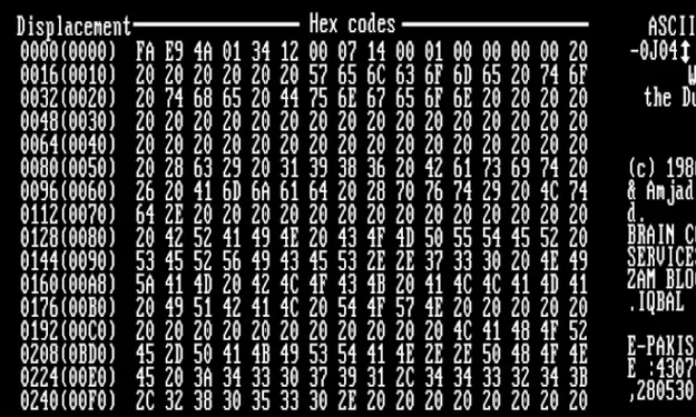 İlk Bilgisayar Virüsü Nasıl Doğdu? 2 Brain Virus Hex kodu