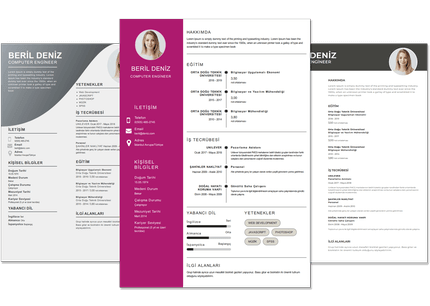 En İyi Profesyonel CV Hazırlama Siteleri 2 En İyi Profesyonel CV Hazırlama Siteleri