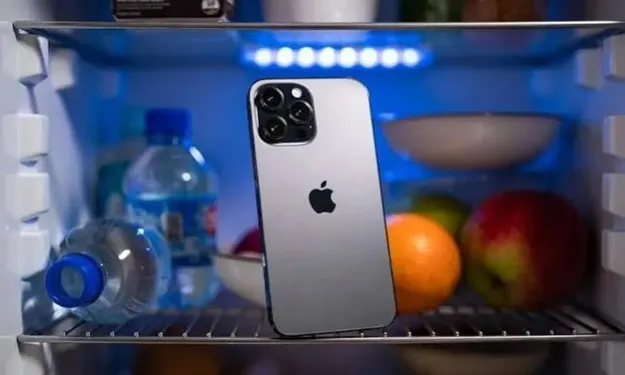 buzdolabında telefon