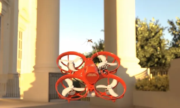 sivrisinek avcısı drone