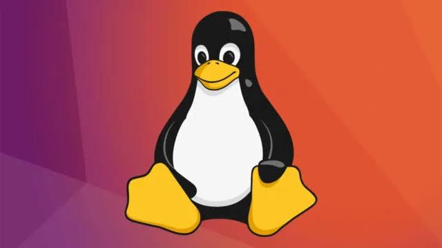 Linux'un Pazar Payı Bir Anda %10`a Ulaştı 2 Linux Kısa Sürede Büyük Sıçrama Yaptı