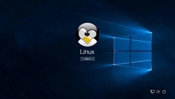 Linux'un Pazar Payı Bir Anda %10`a Ulaştı 4 Linux'un Etkisi Büyümeye Devam Ediyor