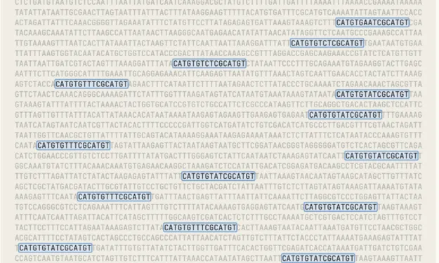 Claude DNA’da Yeni Bir Sistem Keşfetti 2 DNA Gen Dizimi