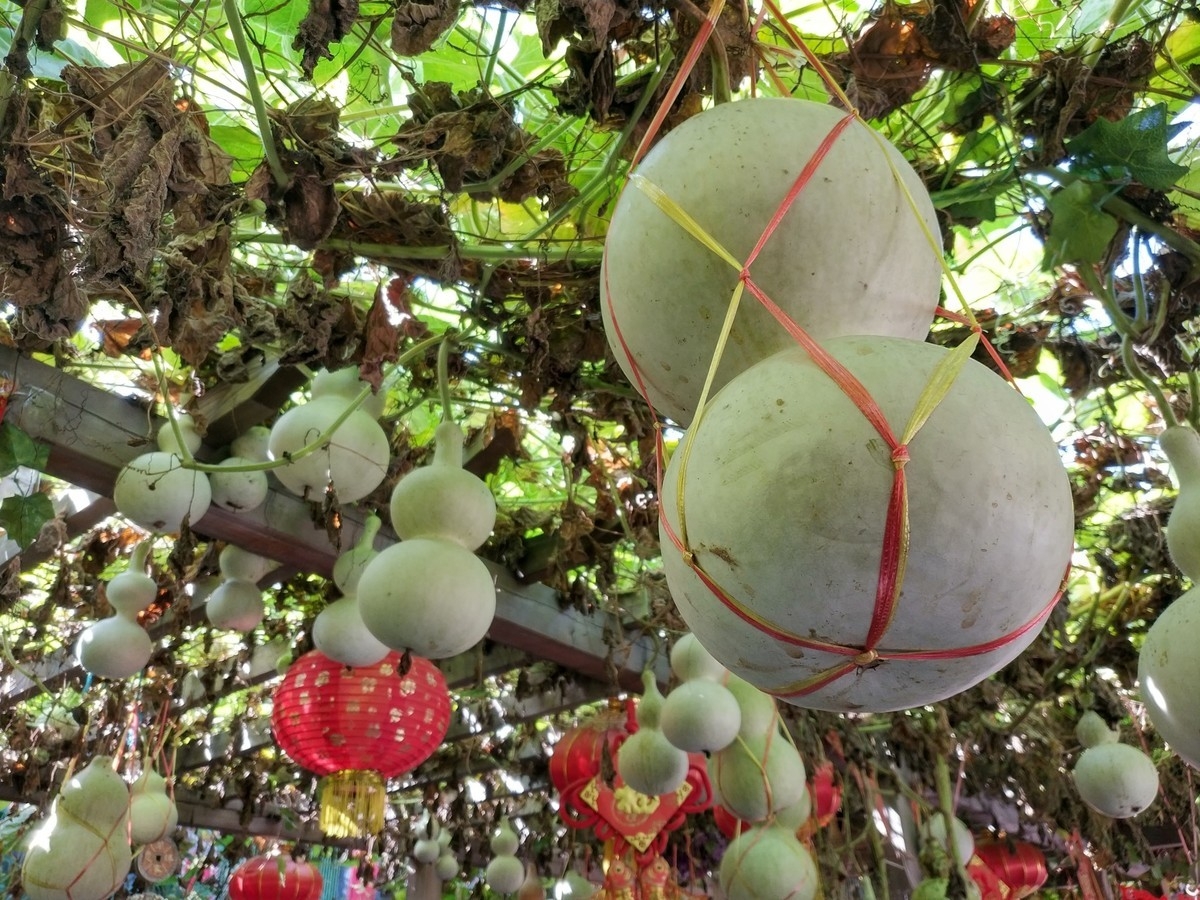 Xiaomi Mi Mix 2 vs. Samsung Galaxy S8+