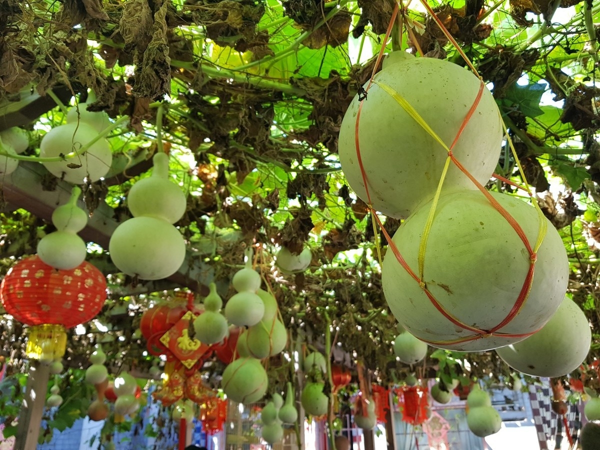 Xiaomi Mi Mix 2 vs. Samsung Galaxy S8+