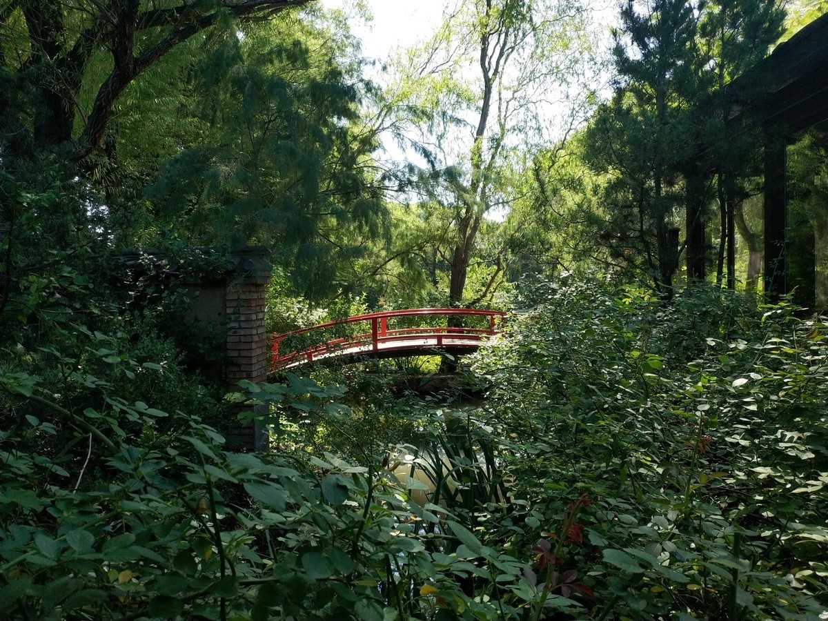 Xiaomi Mi Mix 2 vs. Samsung Galaxy S8+