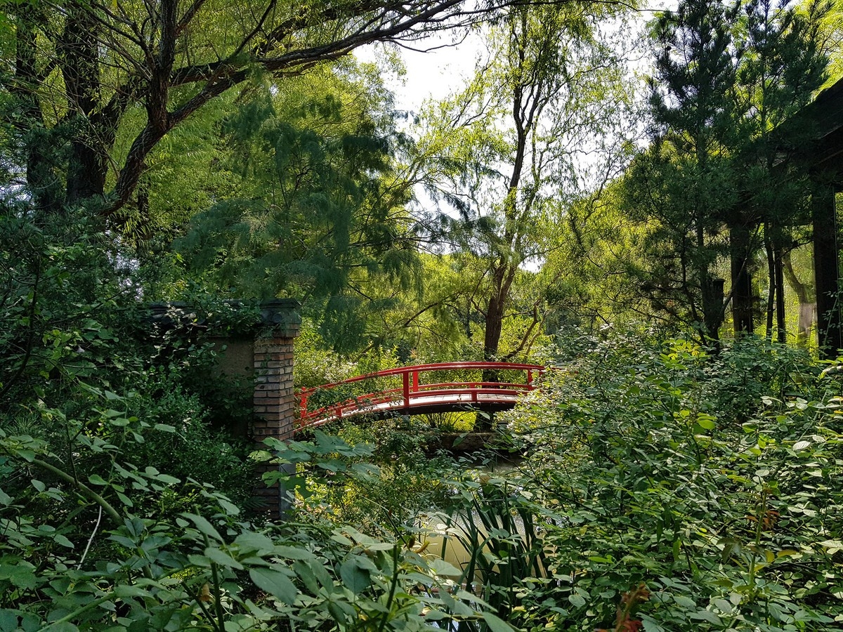 Xiaomi Mi Mix 2 vs. Samsung Galaxy S8+