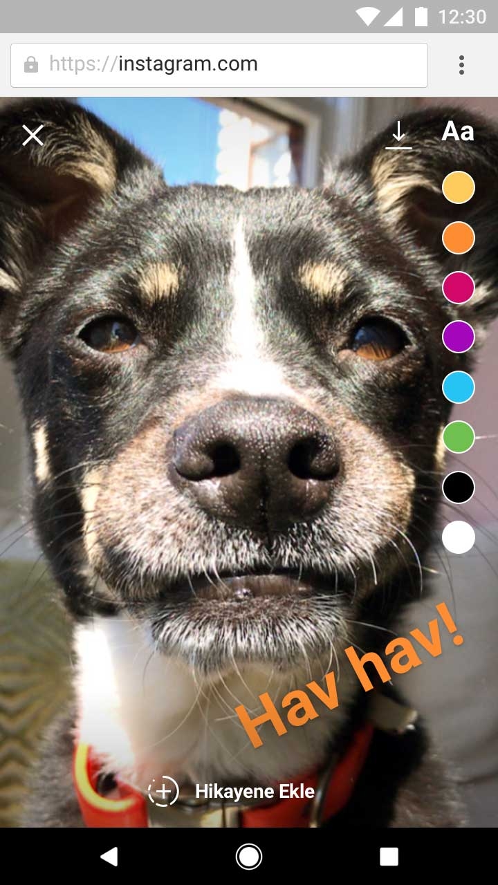 Instagram Tarayıcıdan Hikaye Paylaşma