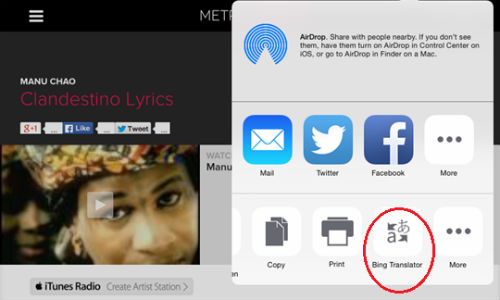 Bing iPad Translator