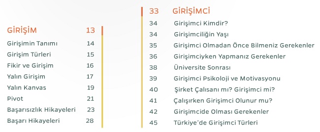 Dijital Girişimcilik 101