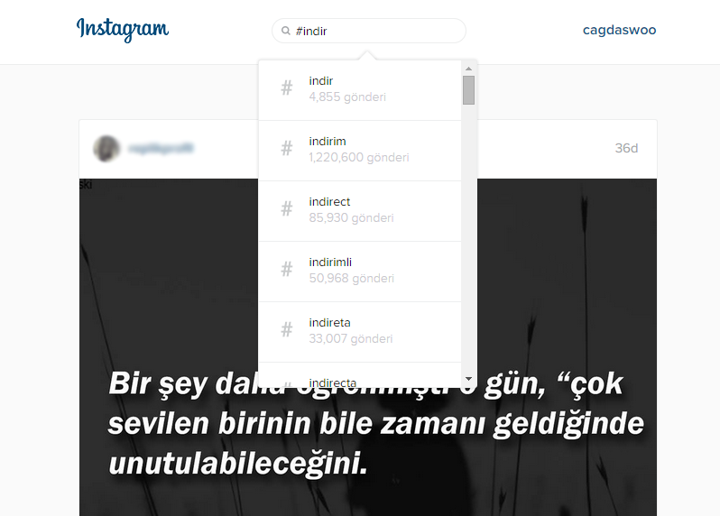 Instagram Web Arama