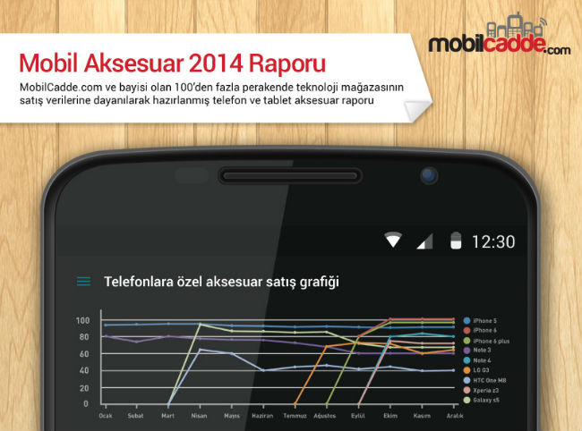 Mobil Aksesuar Raporu 2014