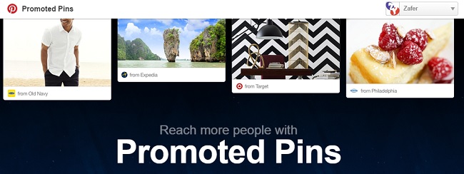 Promoted Pins