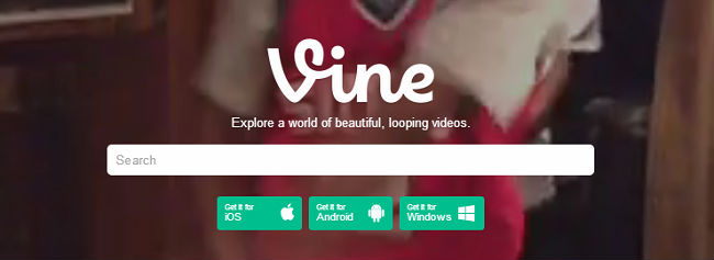 Vine