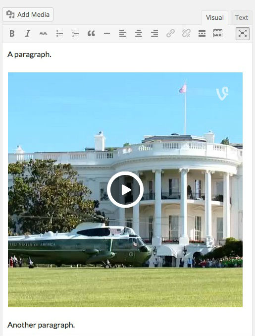 Vine Wordpress Eklentisi